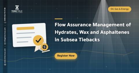 Flow Assurance Management of Hydrates, Wax and Asphaltenes in Subsea Tiebacks